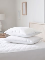 Set of 2 Sleep In Silk Medium 100% Cotton Pillows - Image 1 of 3