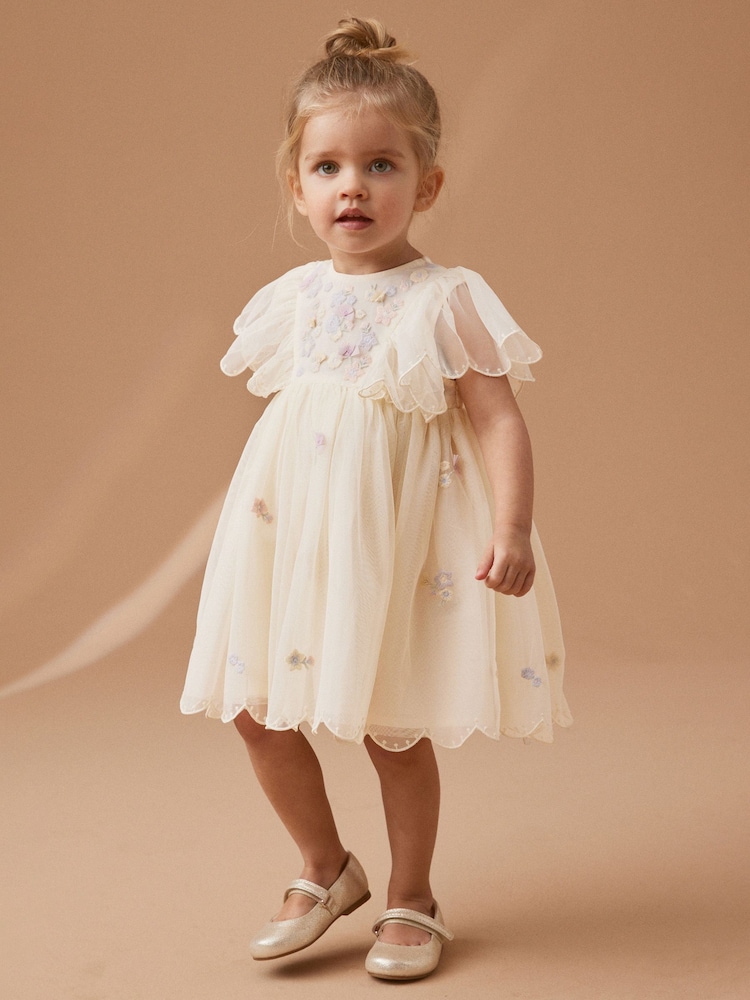 Cream Embroidered Mesh Party Dress (3mths-7yrs) - Image 1 of 7