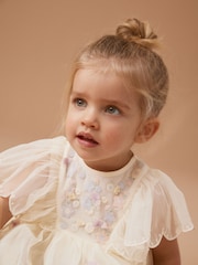 Cream Embroidered Mesh Party Dress (3mths-7yrs) - Image 4 of 7