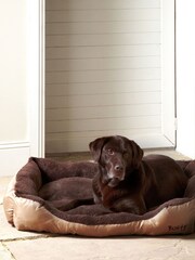 Bunty Cream Deluxe Soft  Washable Dog Bed - Image 1 of 4