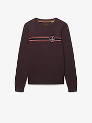 Superdry Brown Outdoor Stripe Logo Relaxed Sweatshirt - Image 5 of 6