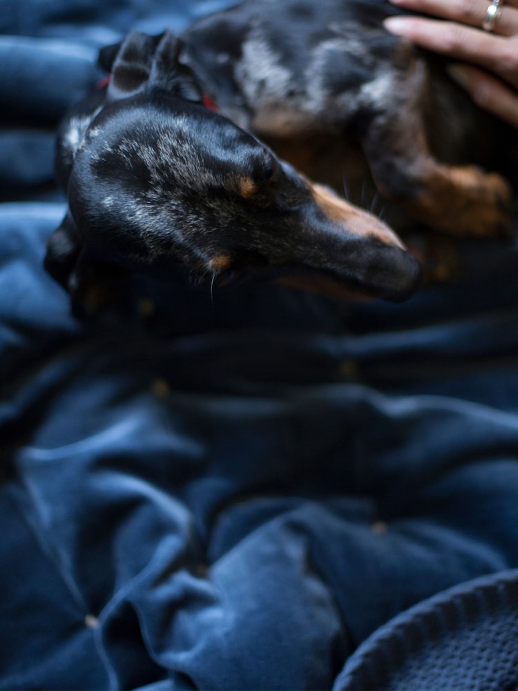 Christy Ink Blue Jaipur Smooth Velvet Quilted Cotton Throw - Image 2 of 3 Christy Ink Blue Jaipur Smooth Velvet Quilted Cotton Throw - Image 2 of 3