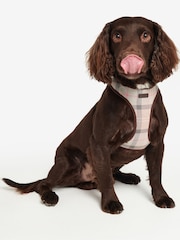 Barbour® Pink Tartan Dog Harness - Image 1 of 7