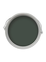 Craig & Rose Green Chalky Emulsion Angelica 2.5Lt Paint - Image 1 of 2