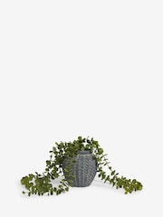 Green Scandi Small Artificial Trailing Plant - Image 3 of 4