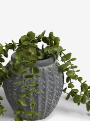 Green Scandi Small Artificial Trailing Plant - Image 4 of 4