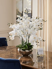White Real Touch Artificial Orchid In Large Silver Pot - Image 1 of 5