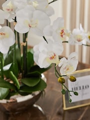 White Real Touch Artificial Orchid In Large Silver Pot - Image 2 of 5