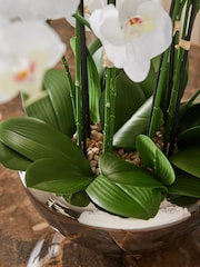 White Real Touch Artificial Orchid In Large Silver Pot - Image 3 of 5