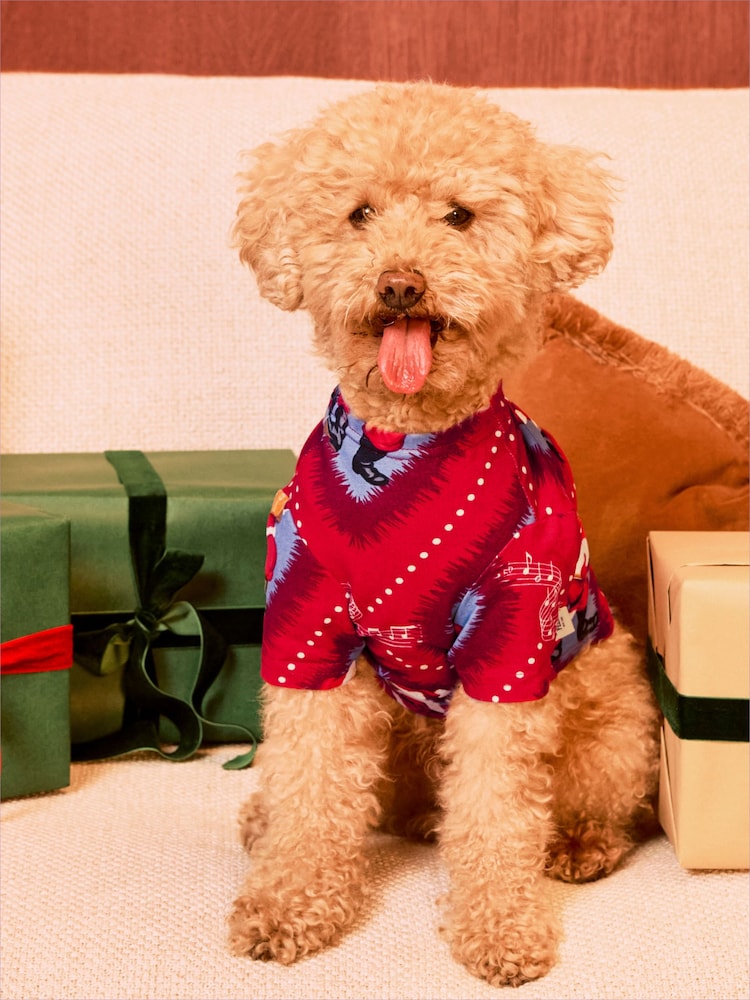 Chelsea Peers Red Pets Cotton Christmas Tree Stripe Pyjama T-Shirt - Image 1 of 4 Chelsea Peers Red Pets Cotton Christmas Tree Stripe Pyjama T-Shirt - Image 1 of 4