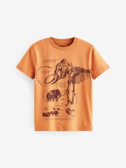 Orange/Teal Blue The Ice age Graphic Regular Fit Short Sleeve T-Shirts 3 Pack (3-16yrs) - Image 3 of 6
