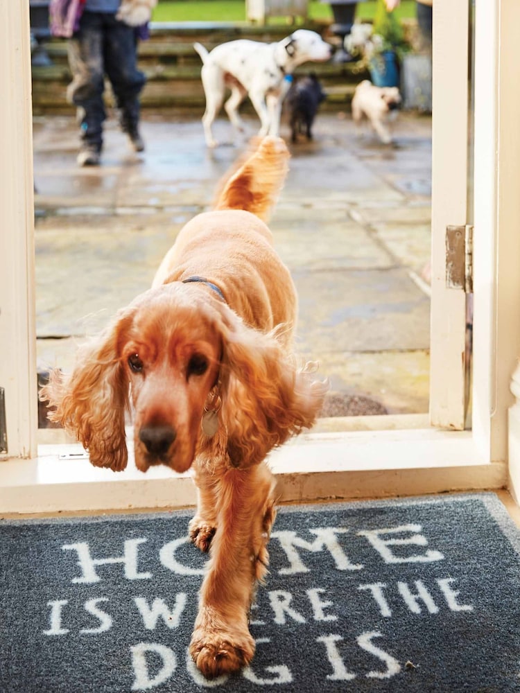 Howler & Scratch Multi Home Slogan Washable Non Slip Doormat - Image 2 of 3