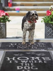 Howler & Scratch Multi Home Slogan Washable Non Slip Doormat - Image 3 of 3