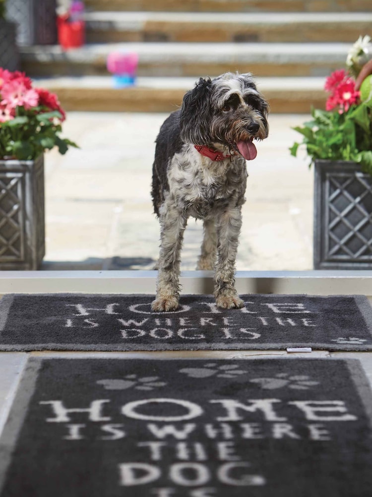 Howler & Scratch Multi Home Slogan Washable Non Slip Doormat - Image 3 of 3