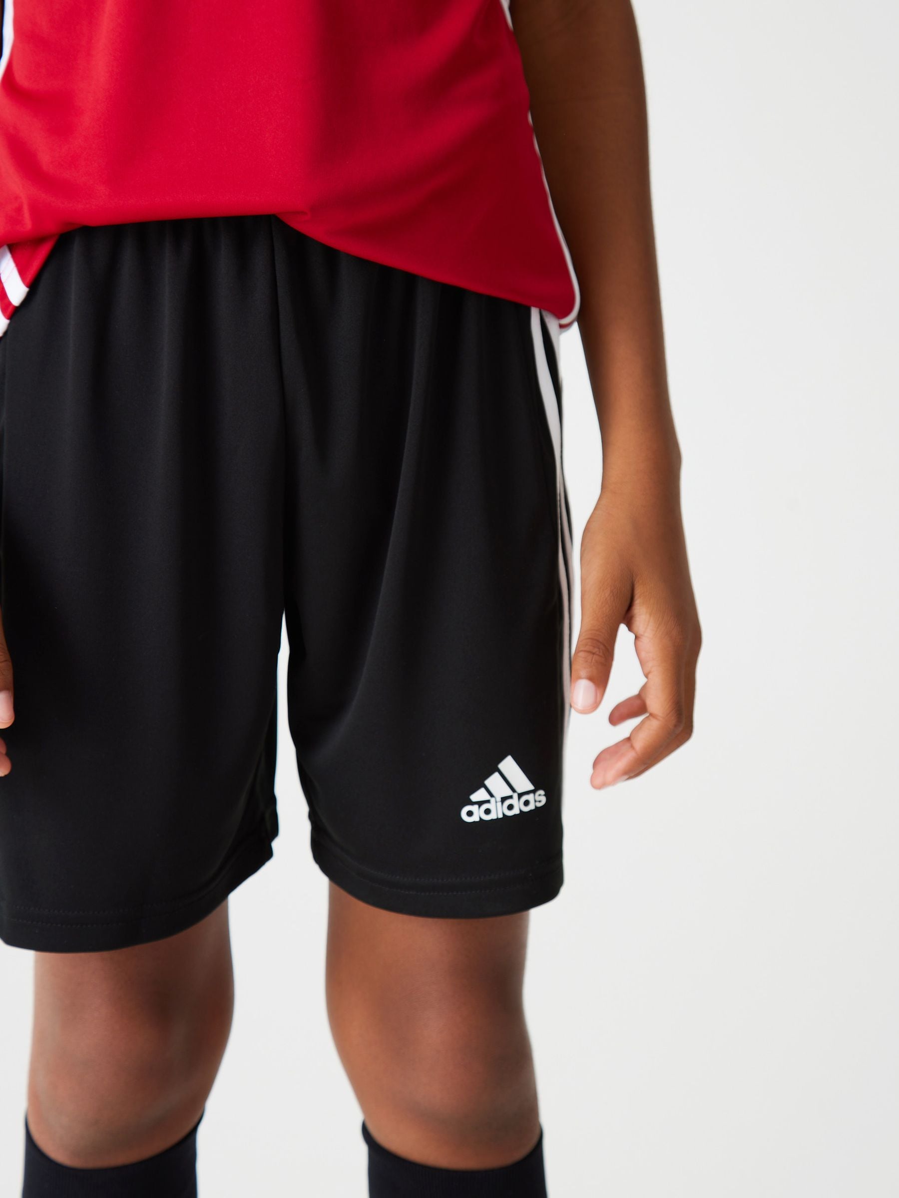 Squadra shorts adidas 2025