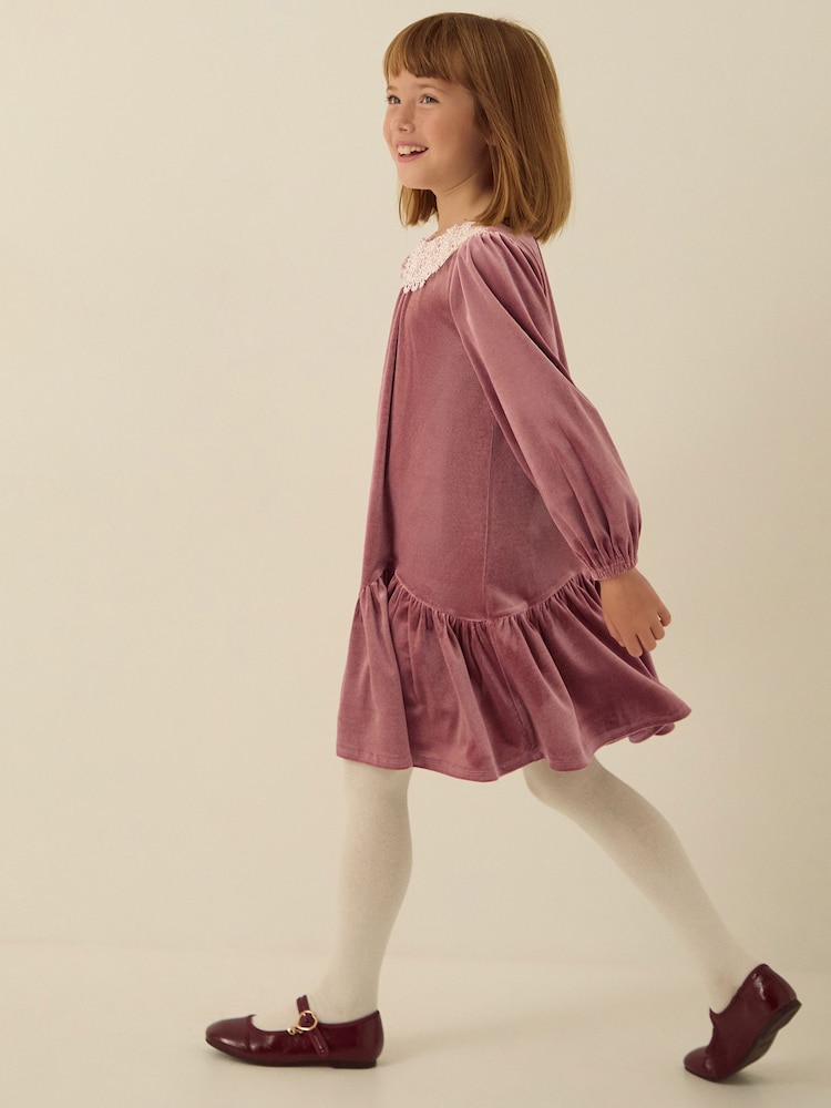 Monsoon Brown Maria Embellished Collar Velvet Party Dress - Image 1 of 3 Monsoon Brown Maria Embellished Collar Velvet Party Dress - Image 1 of 3