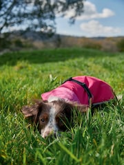 Barbour® Pink Waterproof Dog 100% Cotton Coat - Image 1 of 8