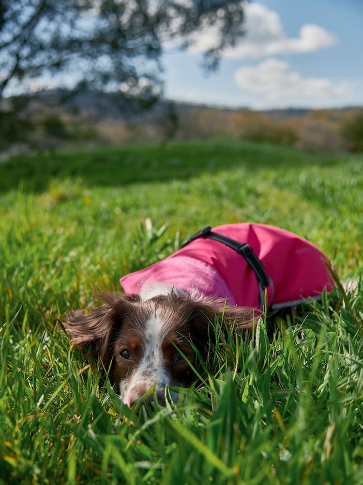 Barbour® Pink Waterproof Dog 100% Cotton Coat - Image 1 of 8