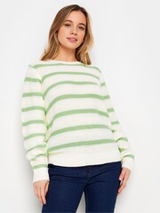 M&Co Green Petite Long Sleeve Stripe Jumper - Image 1 of 5