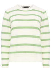 M&Co Green Petite Long Sleeve Stripe Jumper - Image 5 of 5