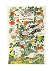 Emma Bridgewater Apple Tree Tea Towel - Larawan 1 ng 1