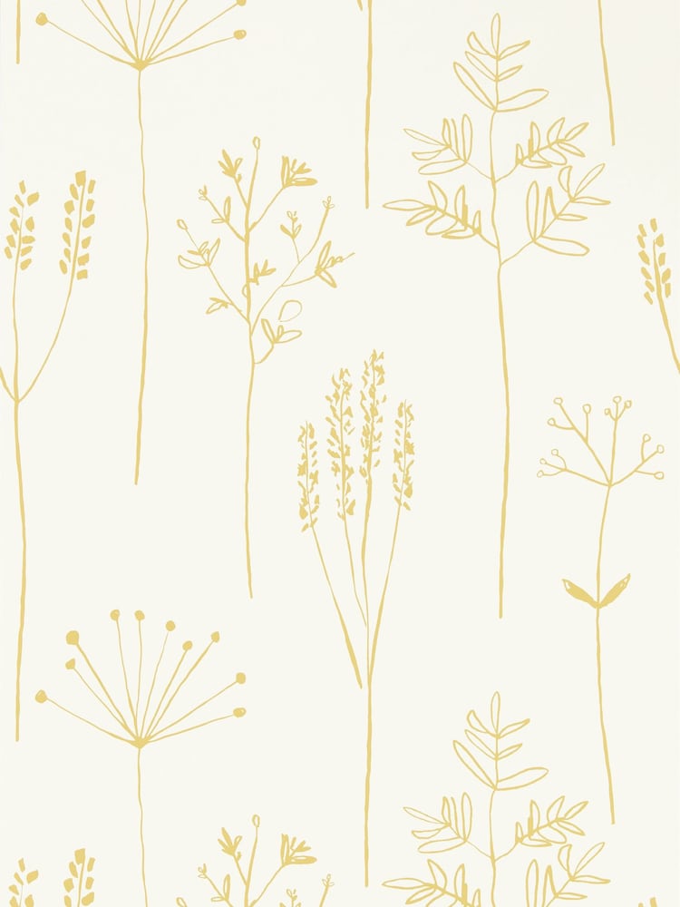 Scion Yellow Stipa 10.05M Wallpaper - Image 1 of 1