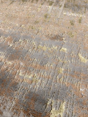 Asiatic Rugs Brown Aurora High Shine Rug - Image 6 of 6