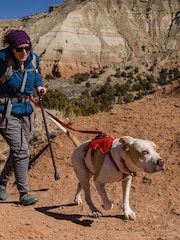 Ruffwear Red Web Master™ Dog Harness with Handle - Image 1 of 4
