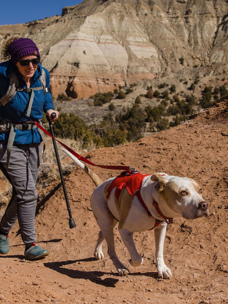 Ruffwear Red Web Master™ Dog Harness with Handle - Image 1 of 4