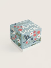 Seasalt Cornwall Natural Gift Box of 4 Arty Birds Socks - Image 2 of 3
