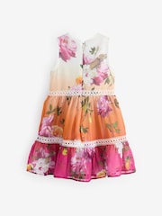 Baker by Ted Baker Multi Ombre Chiffon Dress - Image 7 of 9