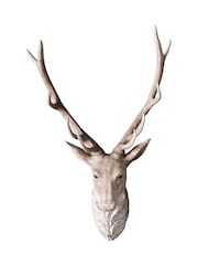 Gallery Home Grey Archie Stag Head - Image 2 of 2