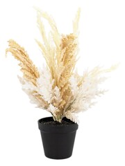 Gallery Home Grey Potted Dry Grass Mix - Image 3 of 4