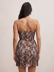 Forever New Brown Reese Strapless Lace Corset Mini Dress - Image 2 of 5