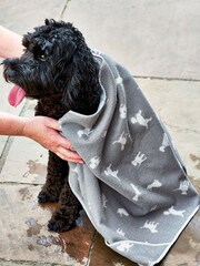 Grey Printed Pet Towel - Image 1 of 2