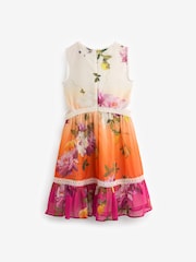 Baker by Ted Baker Multi Cutout Ombre Chiffon Dress - Image 6 of 9