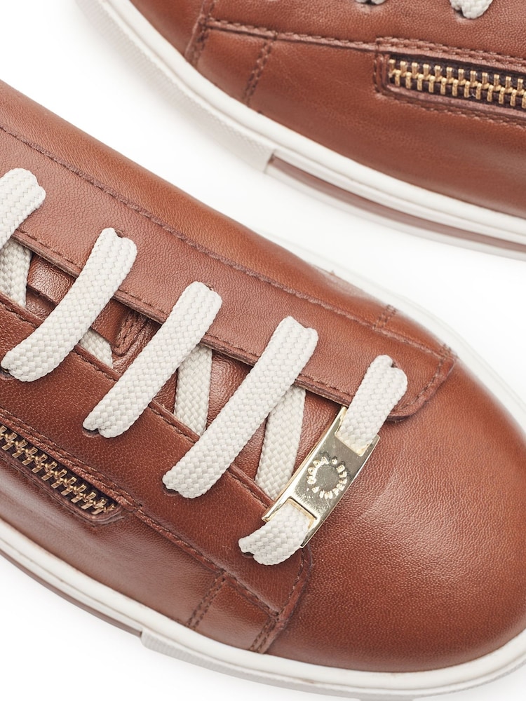 Қоңыр - Moda in Pelle Federika Slim Sole Zip Trainers - 4суретінің 4 суреті Қоңыр - Moda in Pelle Federika Slim Sole Zip Trainers - 4суретінің 4 суреті