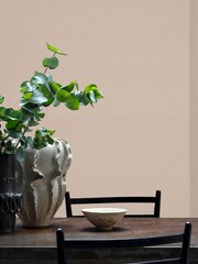 Craig & Rose Natural Chalky Emulsion Pale Cashmere Paint - Image 3 of 3