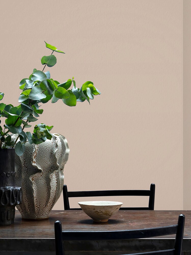 Craig & Rose Natural Chalky Emulsion Pale Cashmere Paint - Image 3 of 3