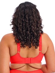 Elomi Charley Plunge Bra - Image 2 of 4