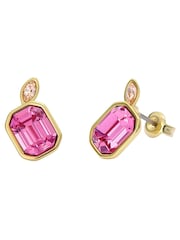 Ted Baker Pink Crystal Gold Tone Michelle: Cluster Stud Earrings - Image 4 of 4