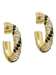 Ted Baker Black Crystal  Gold Tone Toni: Crystal Twist Hoop Earrings - Image 5 of 8