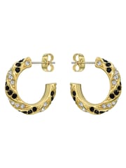 Ted Baker Black Crystal  Gold Tone Toni: Crystal Twist Hoop Earrings - Image 7 of 8