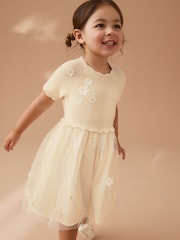 Ecru 2-In-1 Embroidered Mesh Occasion Dress (3mths-7yrs) - Image 1 of 7