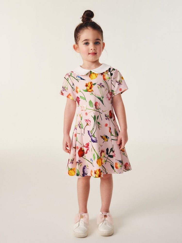 Baker by Ted Baker Pink Floral Collared Ponte Dress - Image 1 of 1