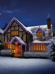 Premier Decorations Ltd Rainbow 9.3m 720 LED Clusters With Timer Christmas Lights - Image 2 of 4