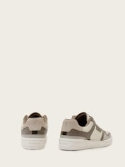 AllSaints Grey Regan Plus Low Top Trainers - Image 5 of 7