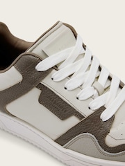AllSaints Grey Regan Plus Low Top Trainers - Image 6 of 7