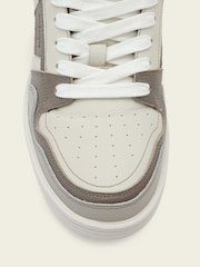 AllSaints Grey Regan Plus Low Top Trainers - Image 7 of 7