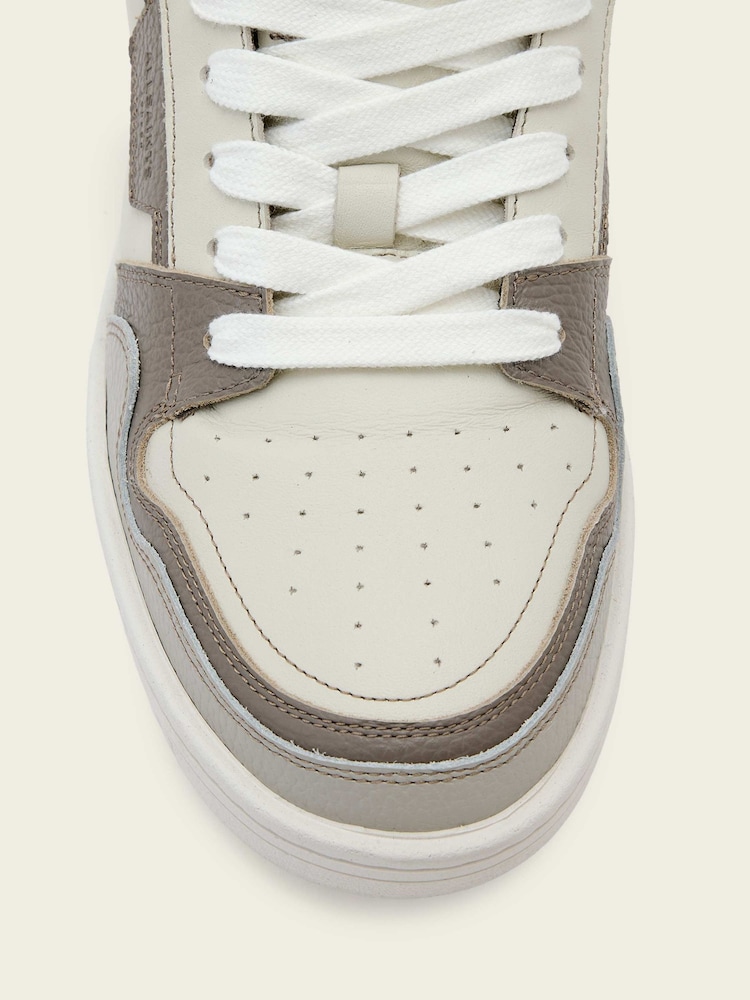 AllSaints Grey Regan Plus Low Top Trainers - Image 7 of 7